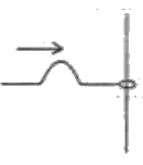 gce-al-physics-2010-sinhala-10